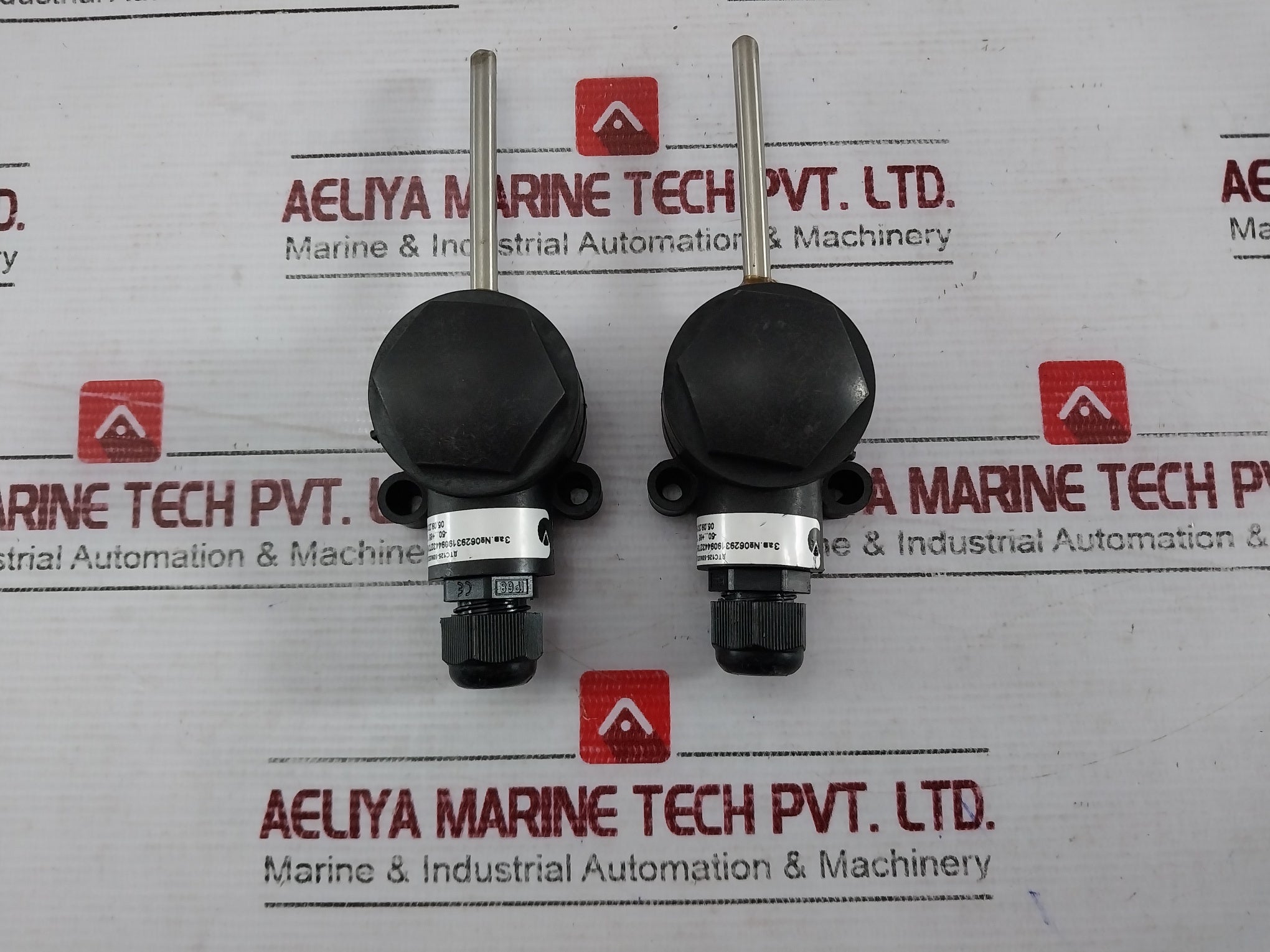 06293190944327310 Two-wire Temperature Probe With Ip68 Enclosure