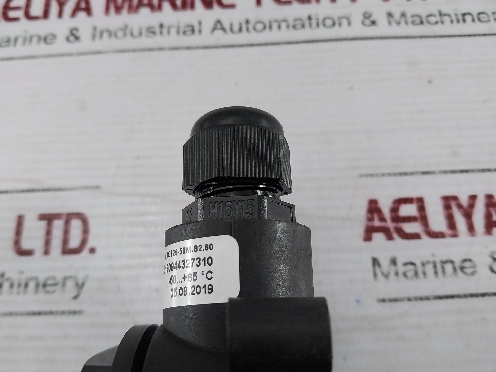06293190944327310 Two-wire Temperature Probe With Ip68 Enclosure