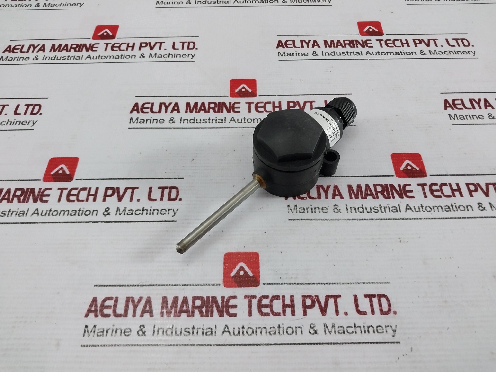06293190944327310 Two-wire Temperature Probe With Ip68 Enclosure