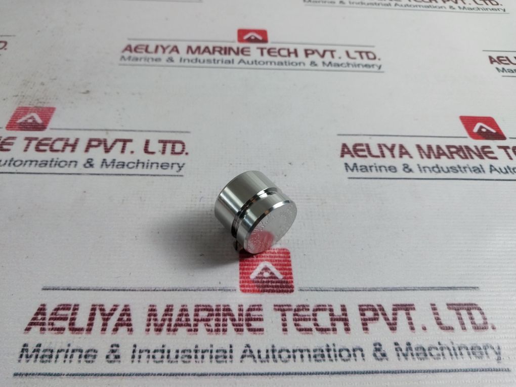 100299 Piston Valve Spm 0000003058