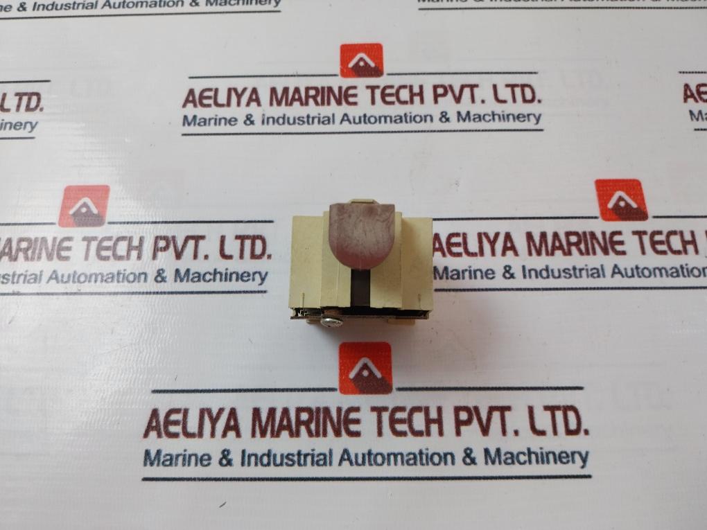 16(4)/250~ T85 Micro Switch