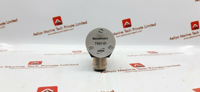 Noris Th31-01 Stainless Steel Stick In Sensor