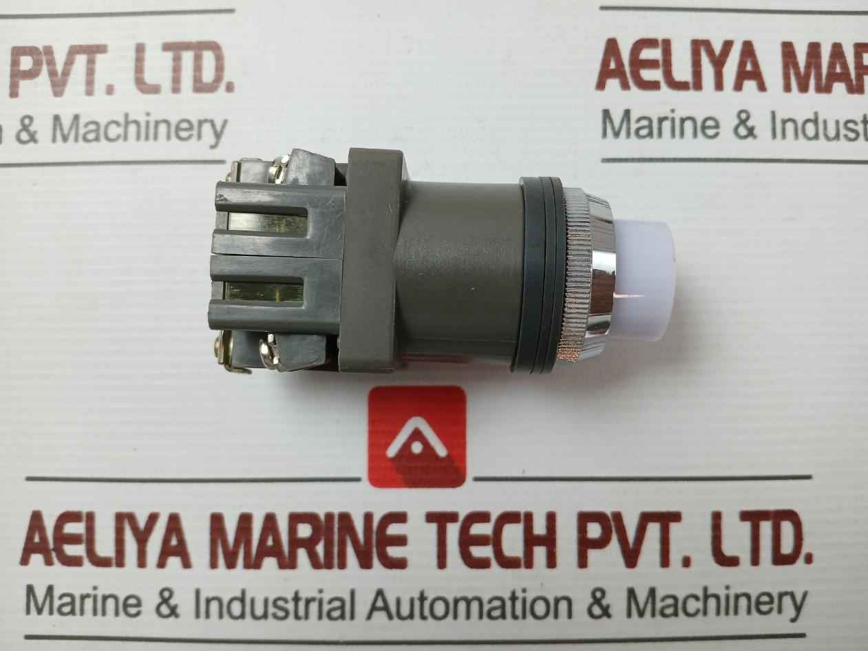 18V 2W Brand Idec 50-60 Hz Push Button Switch- 600V