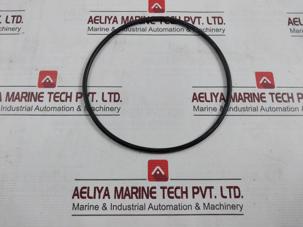1900001-363 O-ring