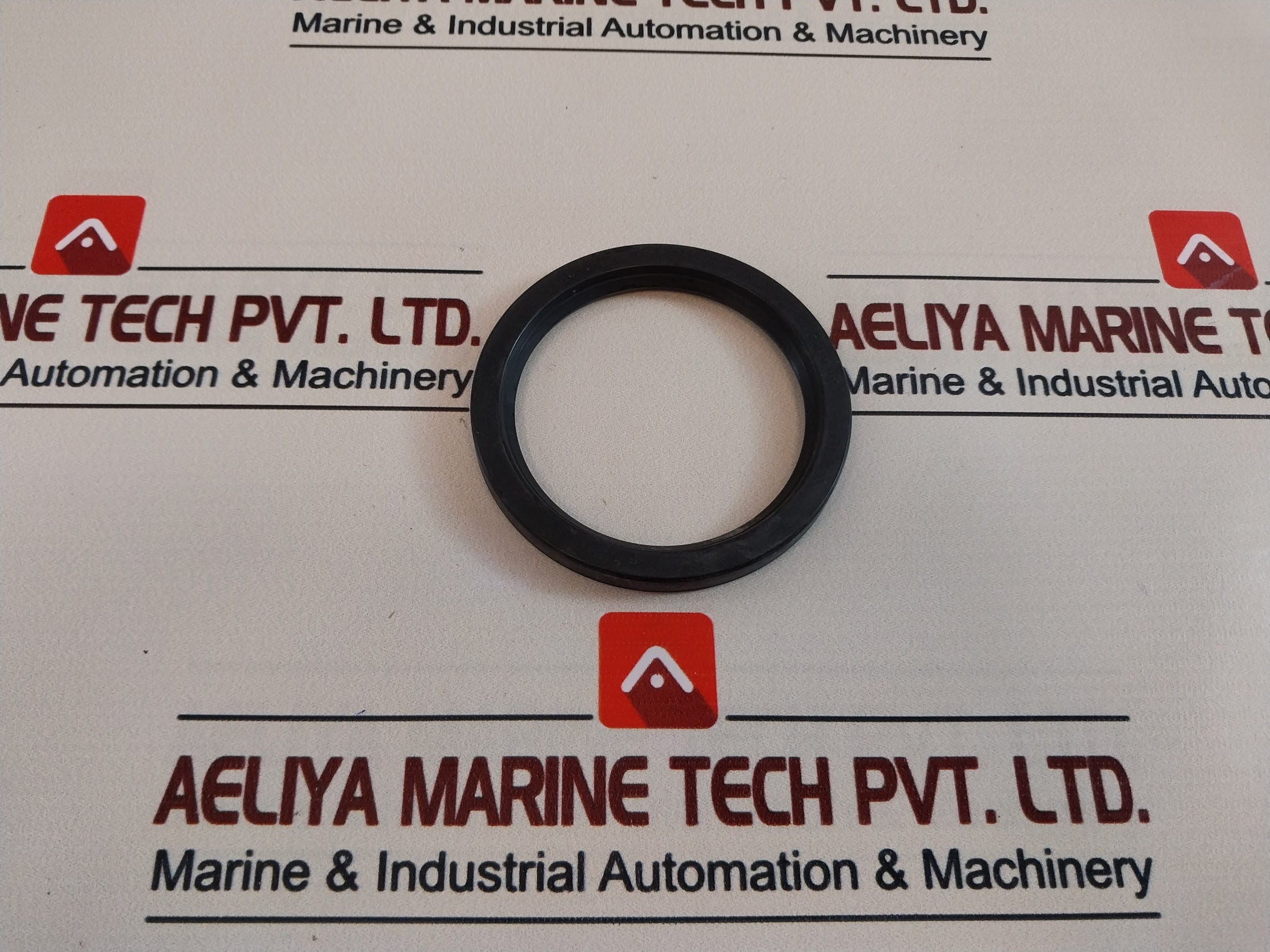 60 100 10 Seal Oil
