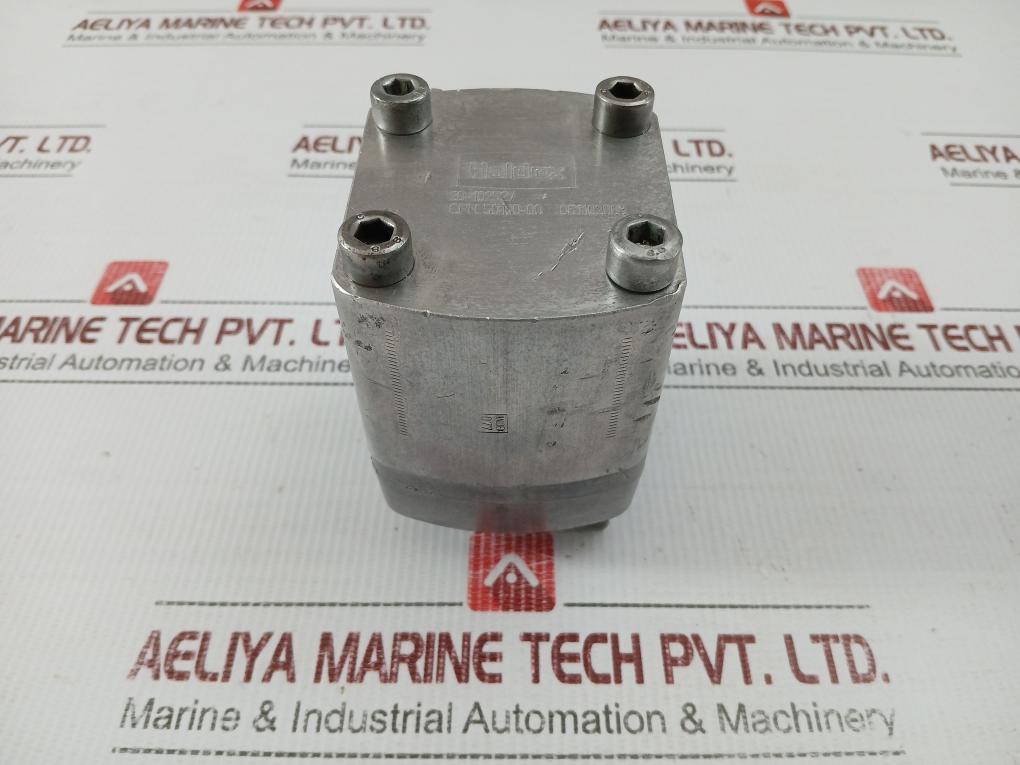 20-102527-Hydraulic-Pump-Cpn-50100-00-Haidex-209233-1