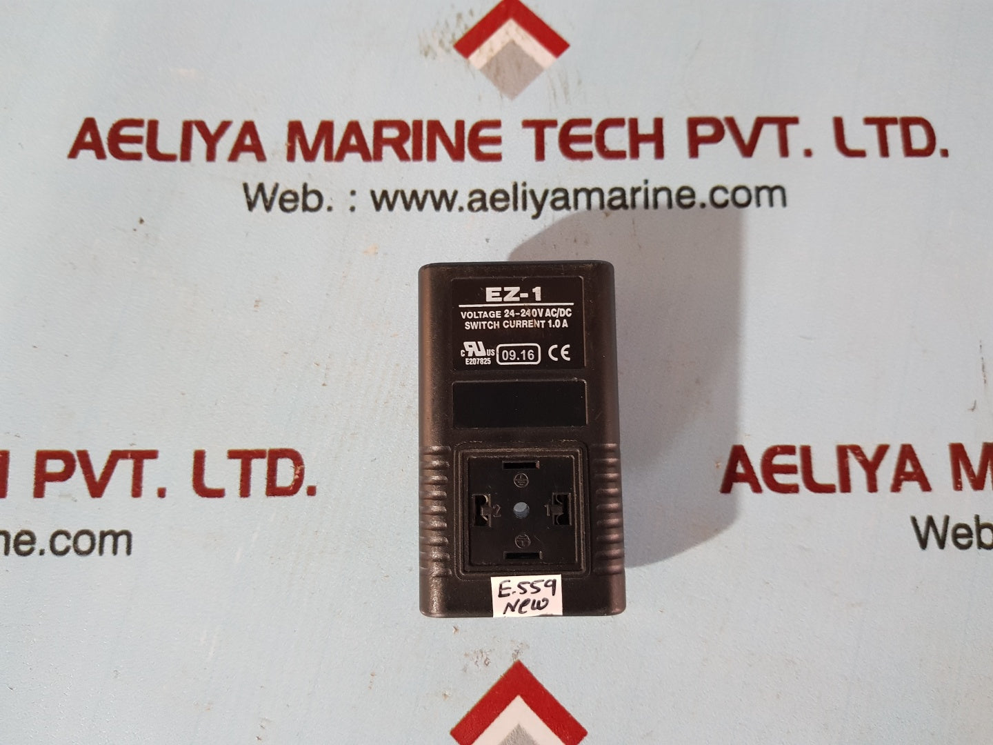 EZ-1 electronic timer