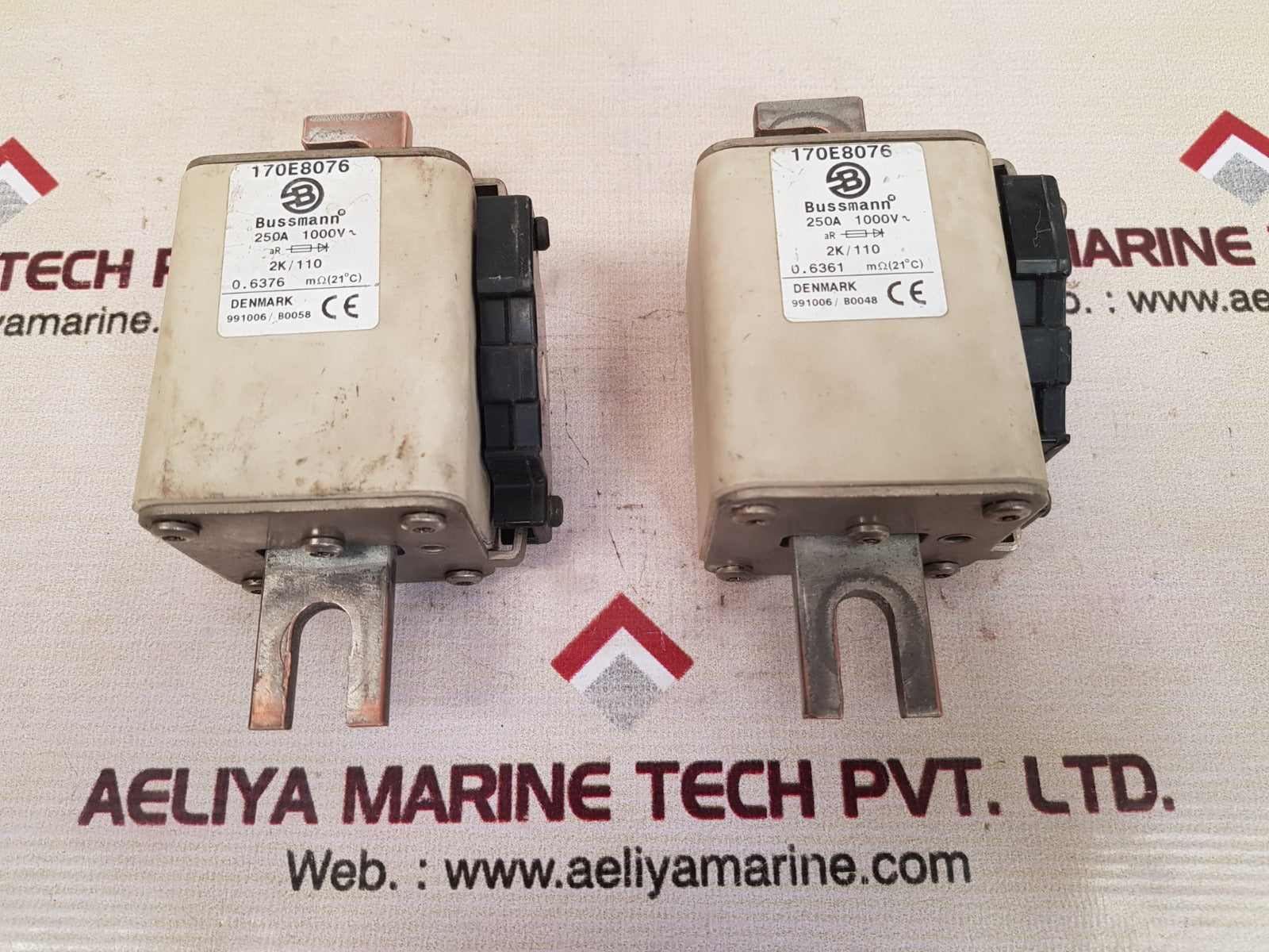 Bussmann 170E8076 Electric Fuse Link 250A 1000V 2K/110