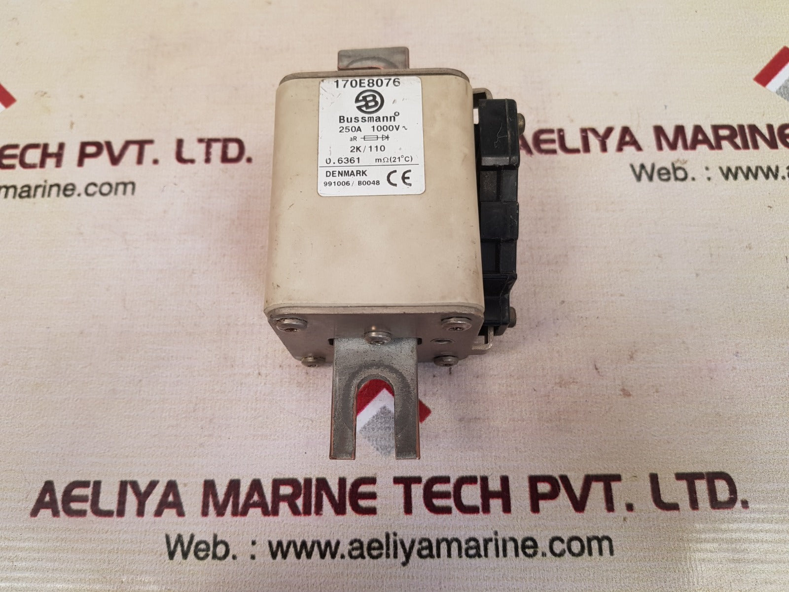 Bussmann 170E8076 Electric Fuse Link 250A 1000V 2K/110
