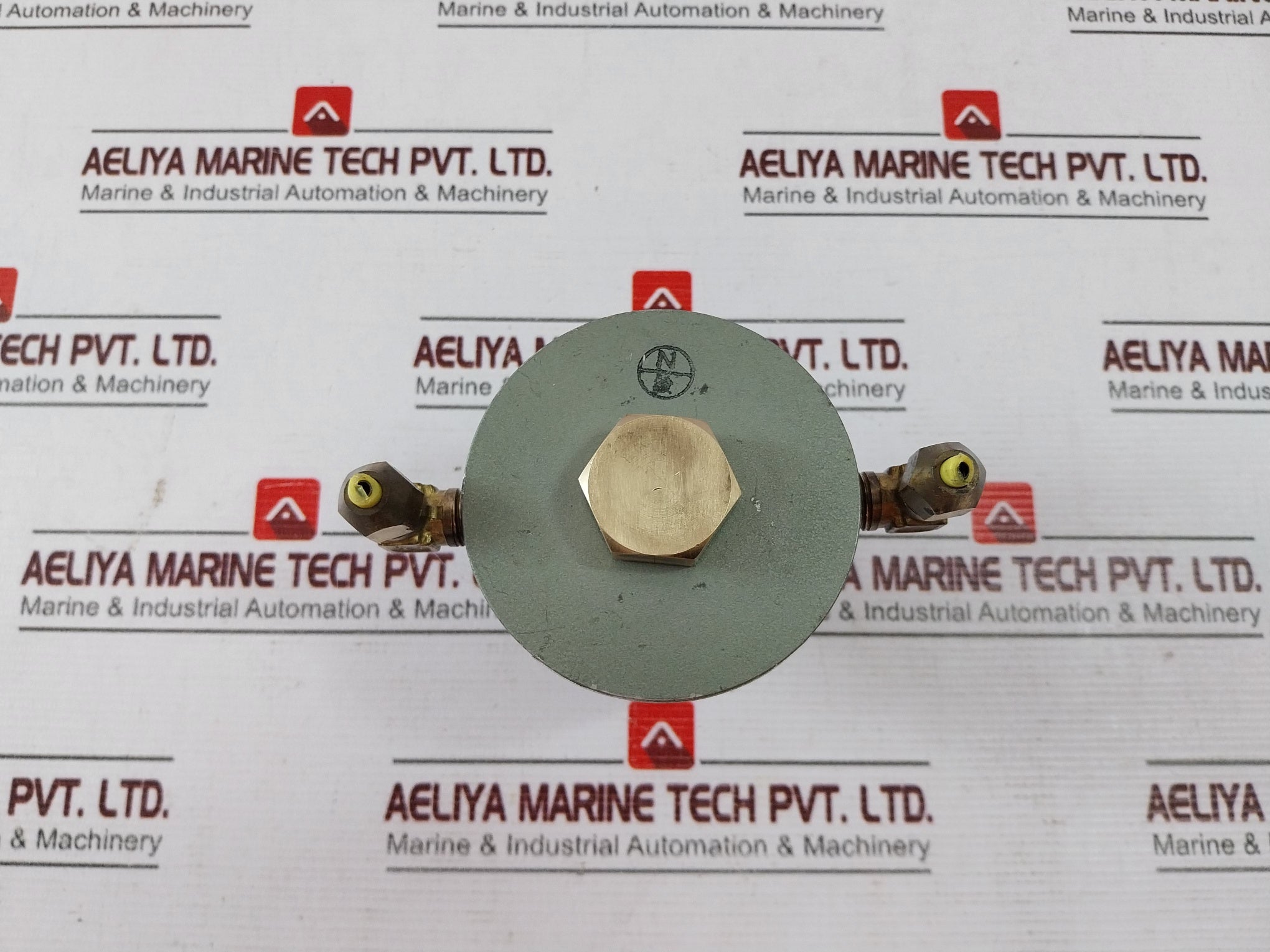 Nakakita NS953A Gauge Saver 1.00 Kg/Cm²