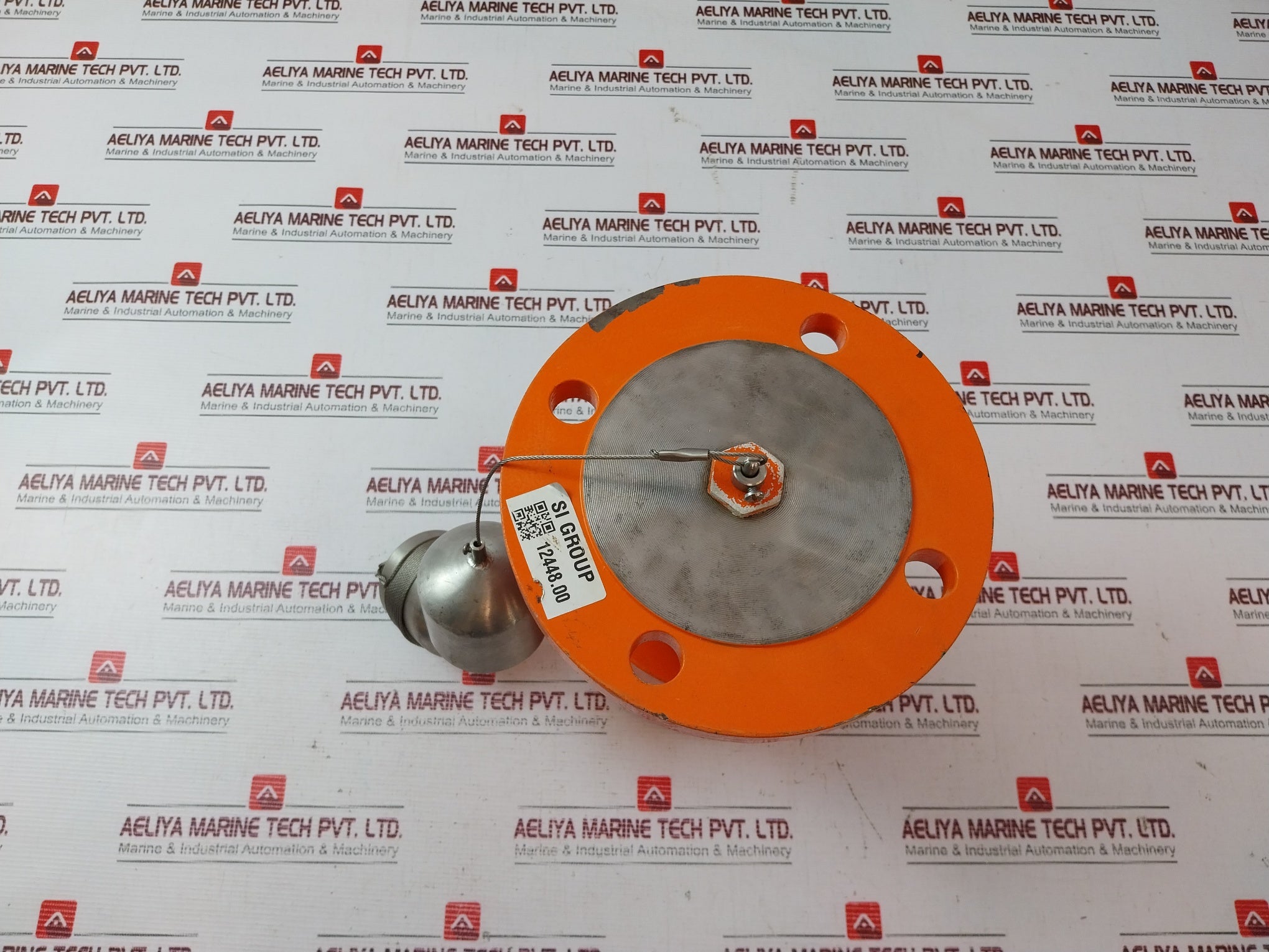 Techtrol Ds-besm1Ww Displacer Type Magnetic Level Switch 5A-250Vac 10 Kg/Cm2