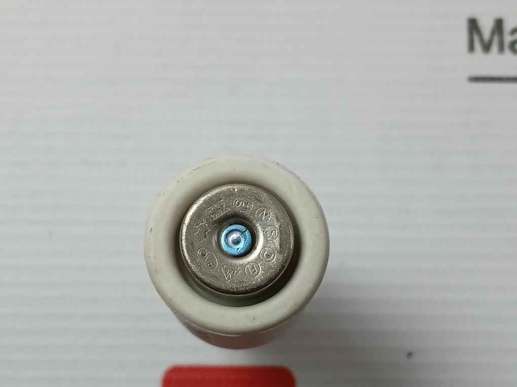20A - 20/500 Gl Brand Ifo Electric Diazed Time Lag Fuse Link (1 Packet = 5 Pieces)
