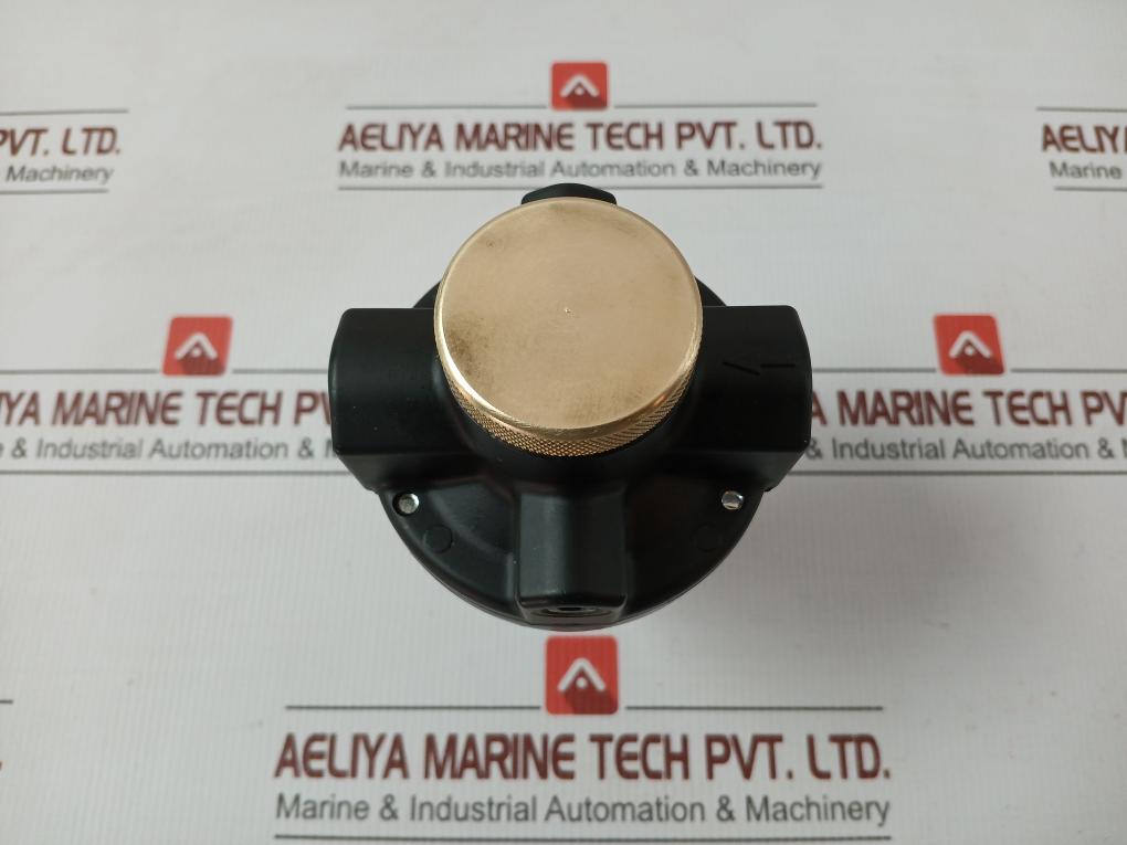 20Ag-x4G/Ph100 Norgren Air Pressure Regulator 28Bar 400Psig