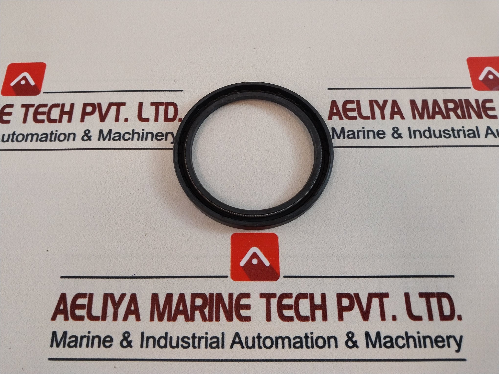 60 100 10 Seal Oil