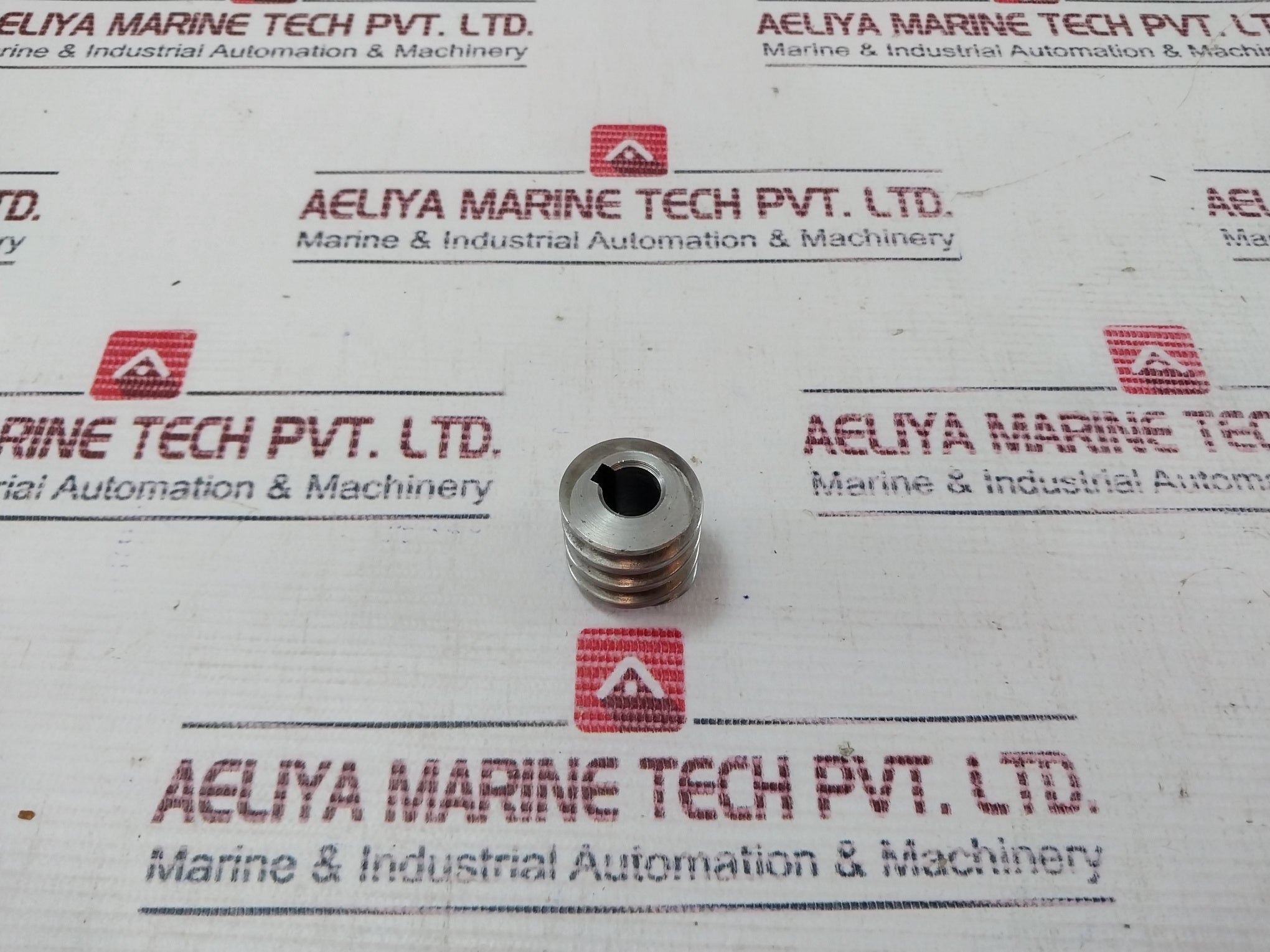 Maximart B-186 Worm Gear 2Vs