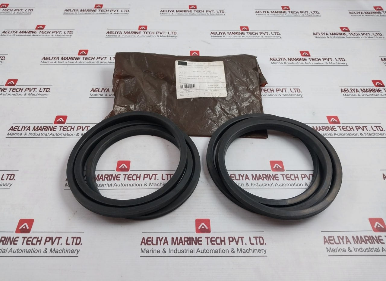 30134228 Gaskets (Main Riser Box) Bb174893