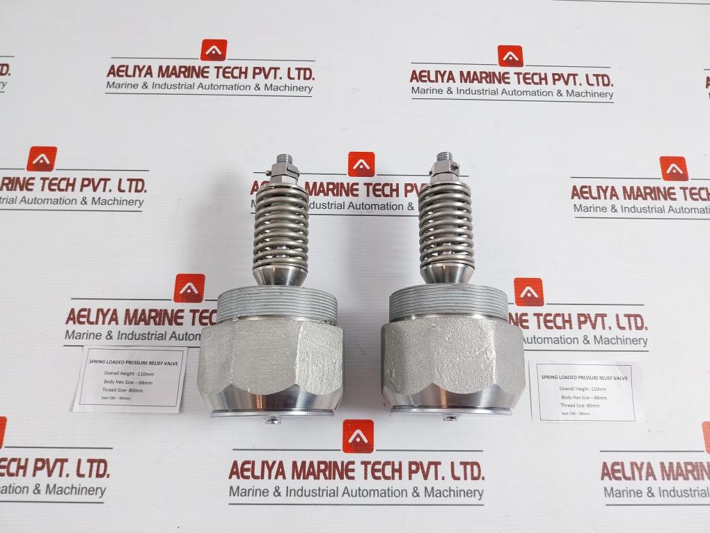 304 Spring Loaded Pressure Relief Valve