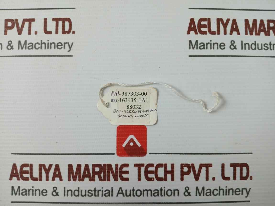 387303-00 Sealing Nipple