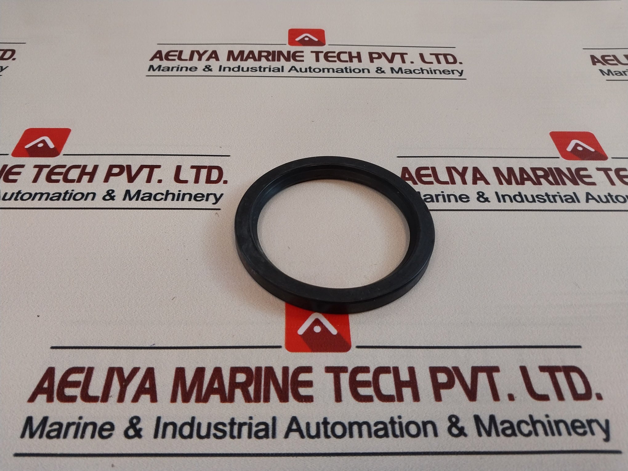 60 100 10 Seal Oil