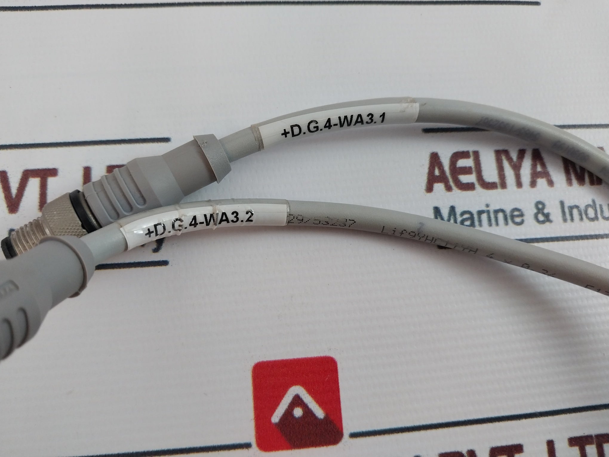 Escha 8030199 Sensor Cable Connector 8018529/53237 Lif9Yhc11Yh 4 X 0,34