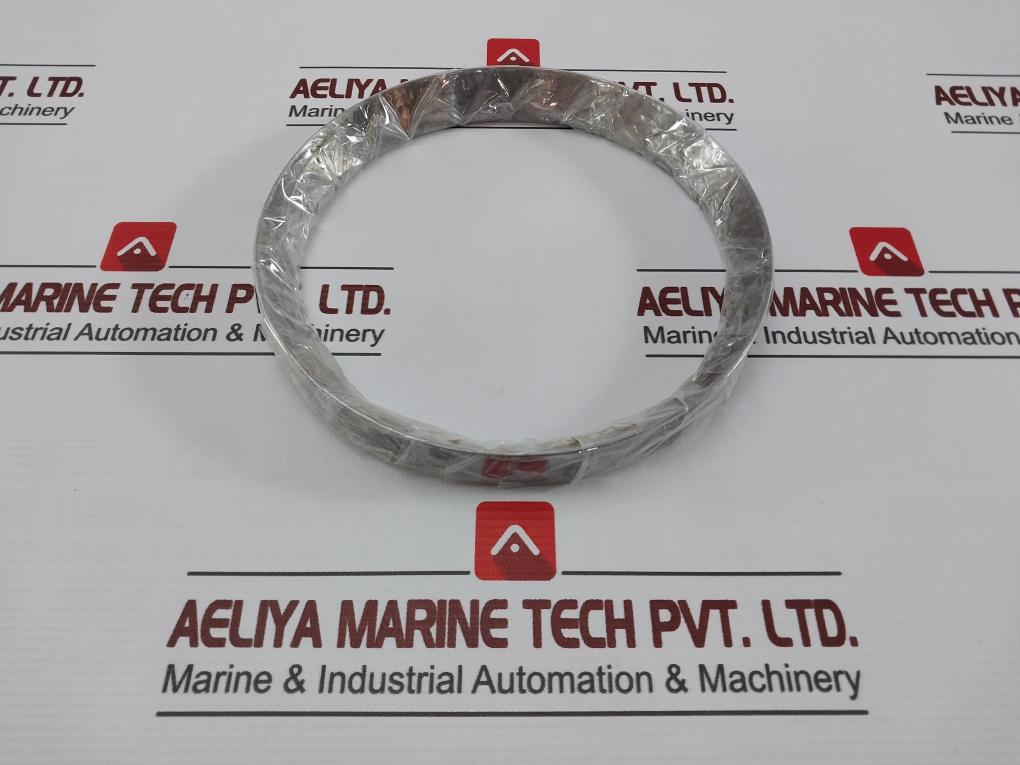 980276 Seal Ring For Main Boiler Piston Valve