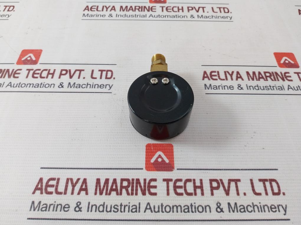Aignep Pneumatic En837-1 Diaphragm Pressure Gauge 0-12 Bar