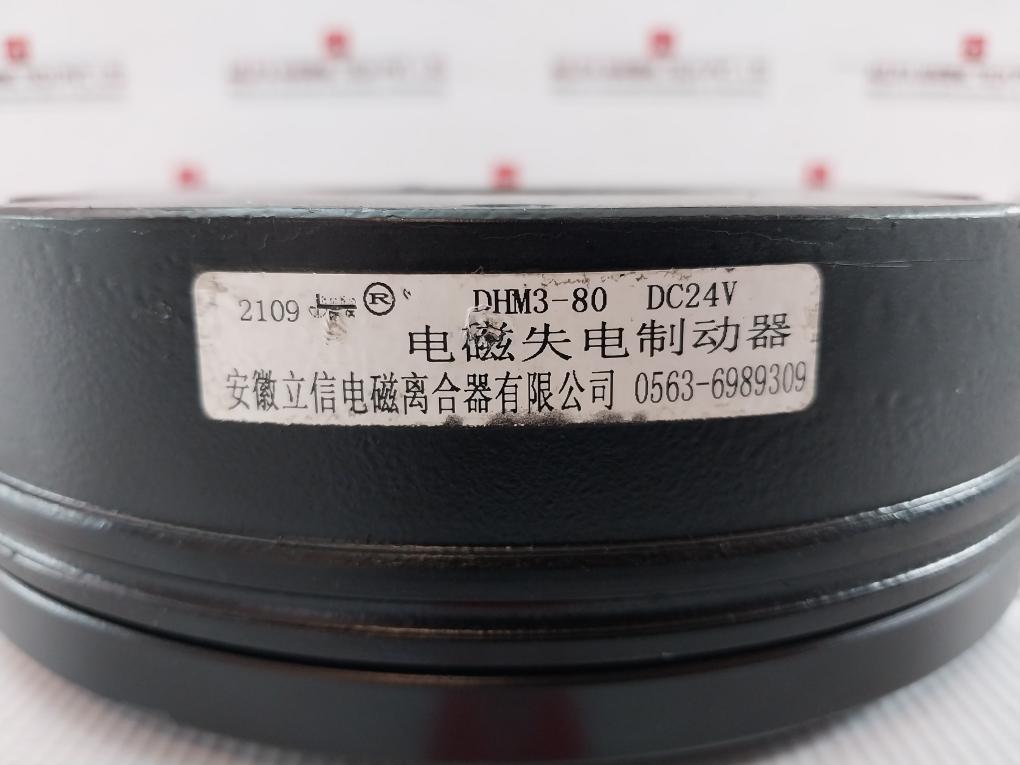 Anhui Lixin Electromagnetic Power-off Brake Dc24V Dhm3-80