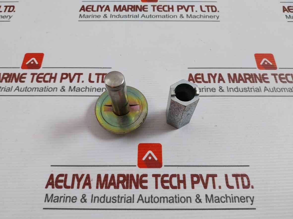 Asco 302333 Valve Rebuild Kit