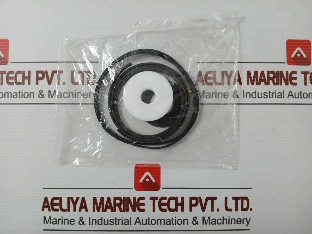 Asco 304046 Rebuild Kit Series 8003