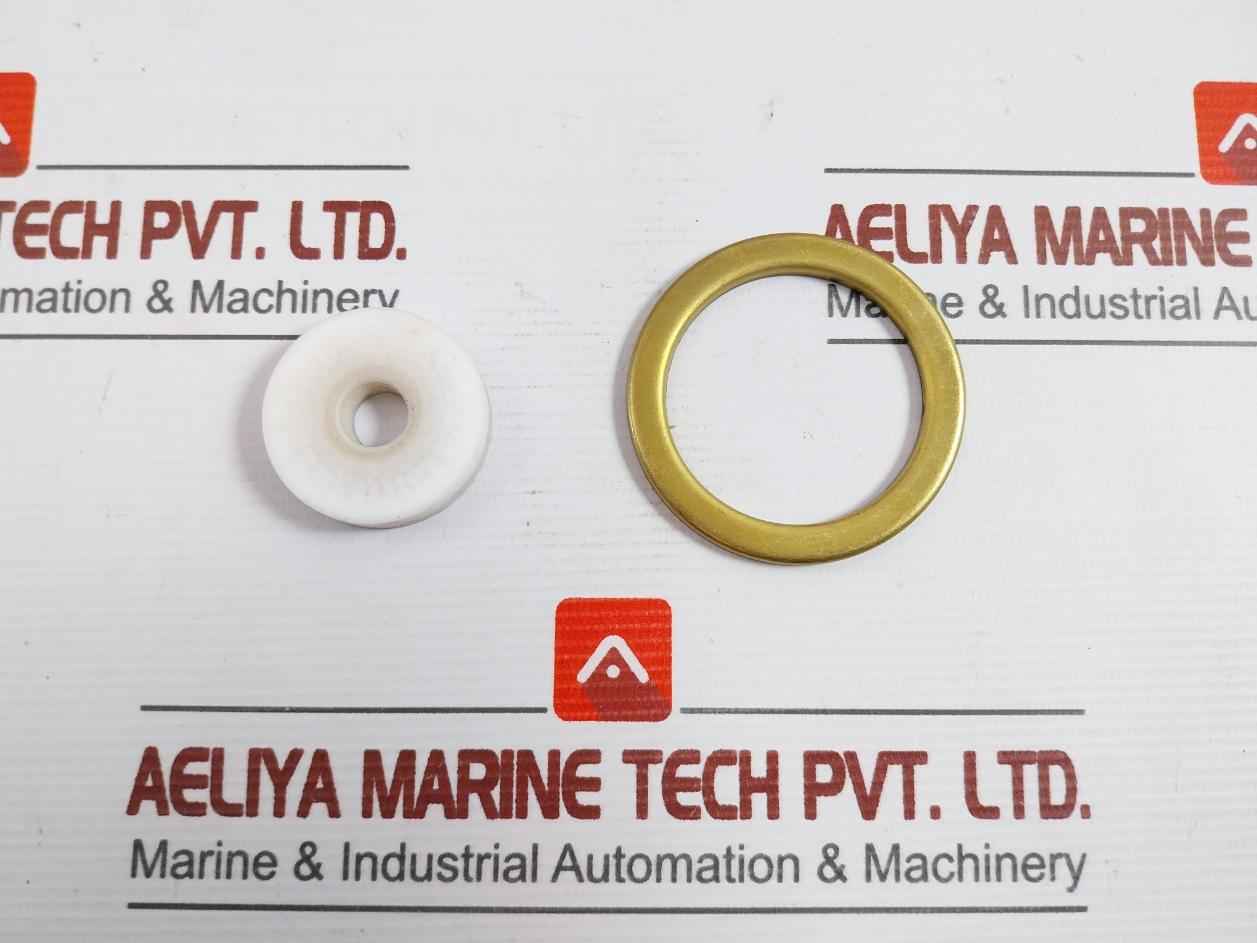 Asco 304046 Rebuild Kit T586509 Fv-168-891-1