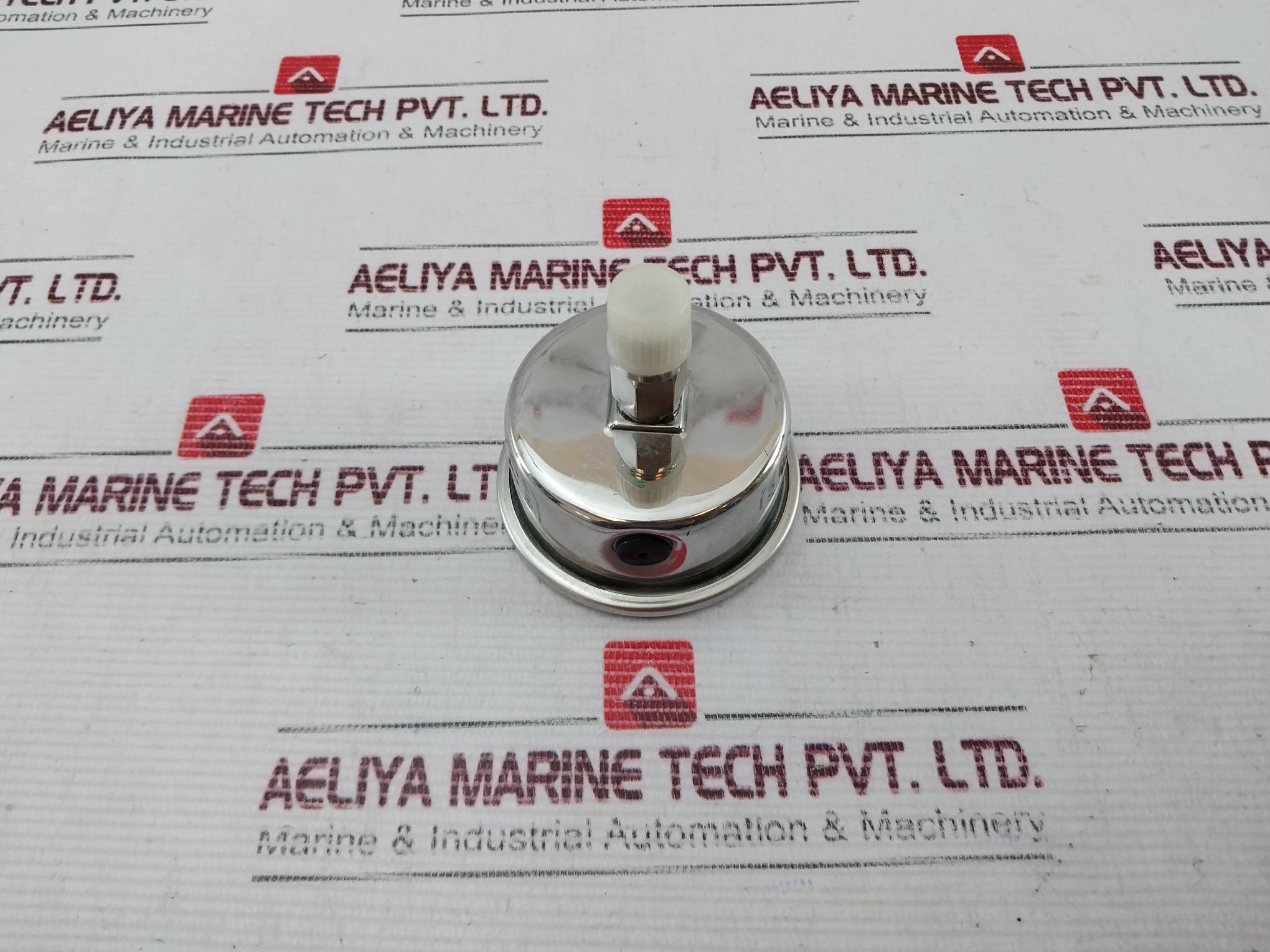 Asco C325316 Pressure Gauge 0-12 Bar