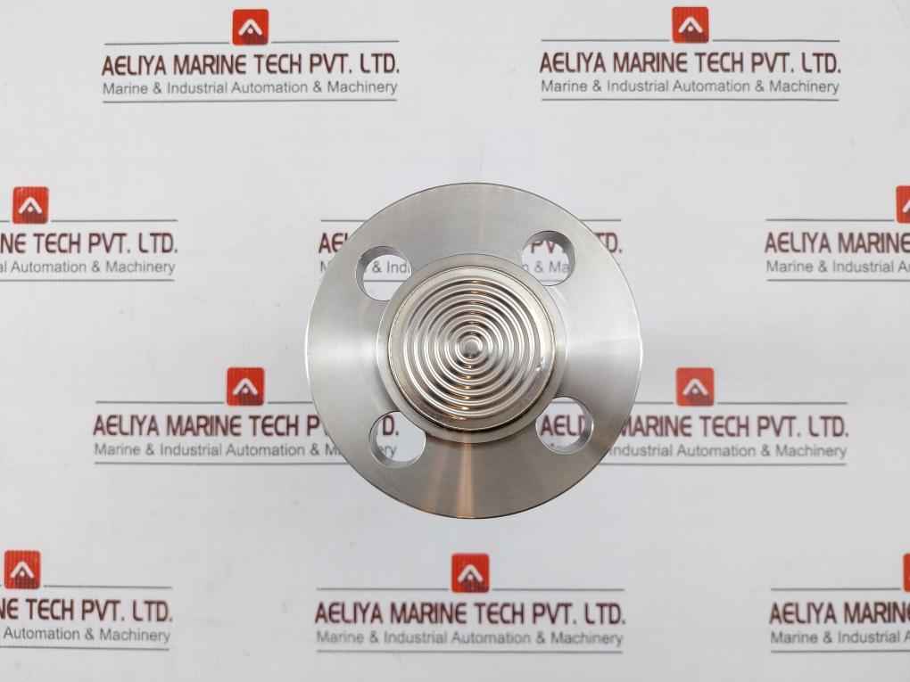 Badotherm 50049716C012 12G917 Diaphragm Seal Pressure Transmitter