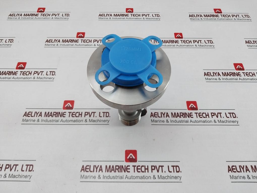 Badotherm 22I464 231209 Diaphragm Seal Pressure Transmitter