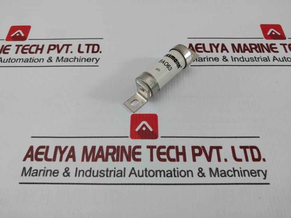 Bao63 High Rupturing Capacity Fuse Link 550Vac 80Ka Bussmann