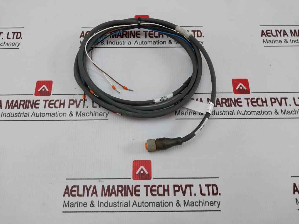 Belden Rkt 4-288/4 P1 Standard Sensor/actuator Single-ended Cordset Meter 2