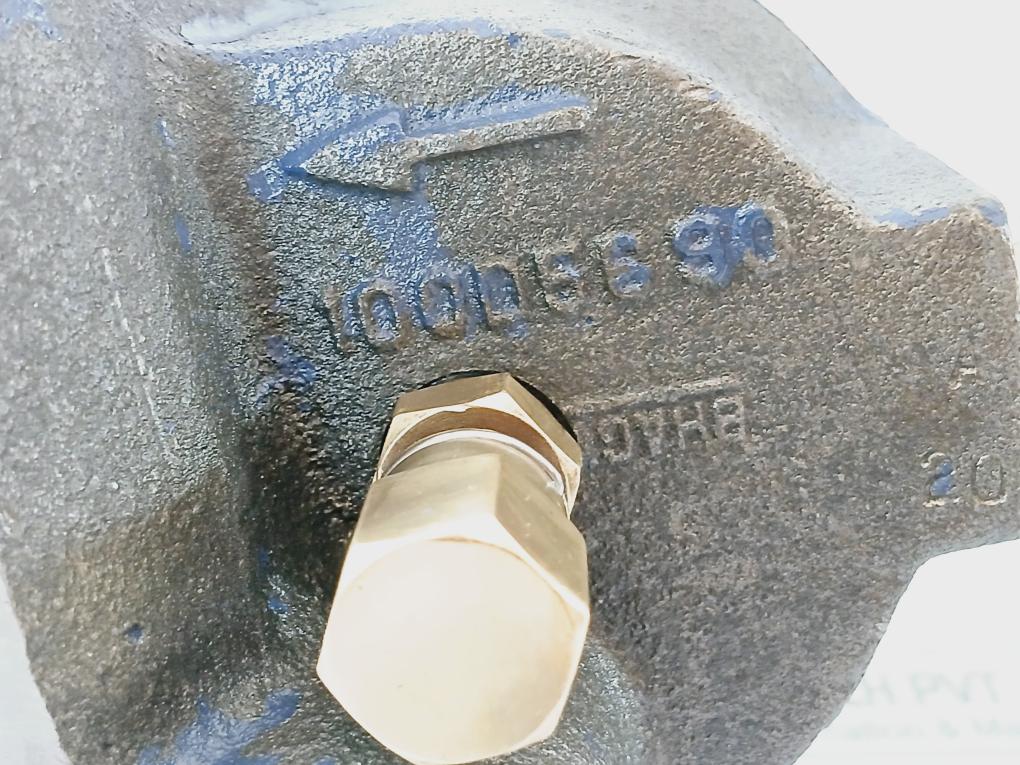 Bhagwati Filter 25D90G100 Duplex Filter 220V 0.5A