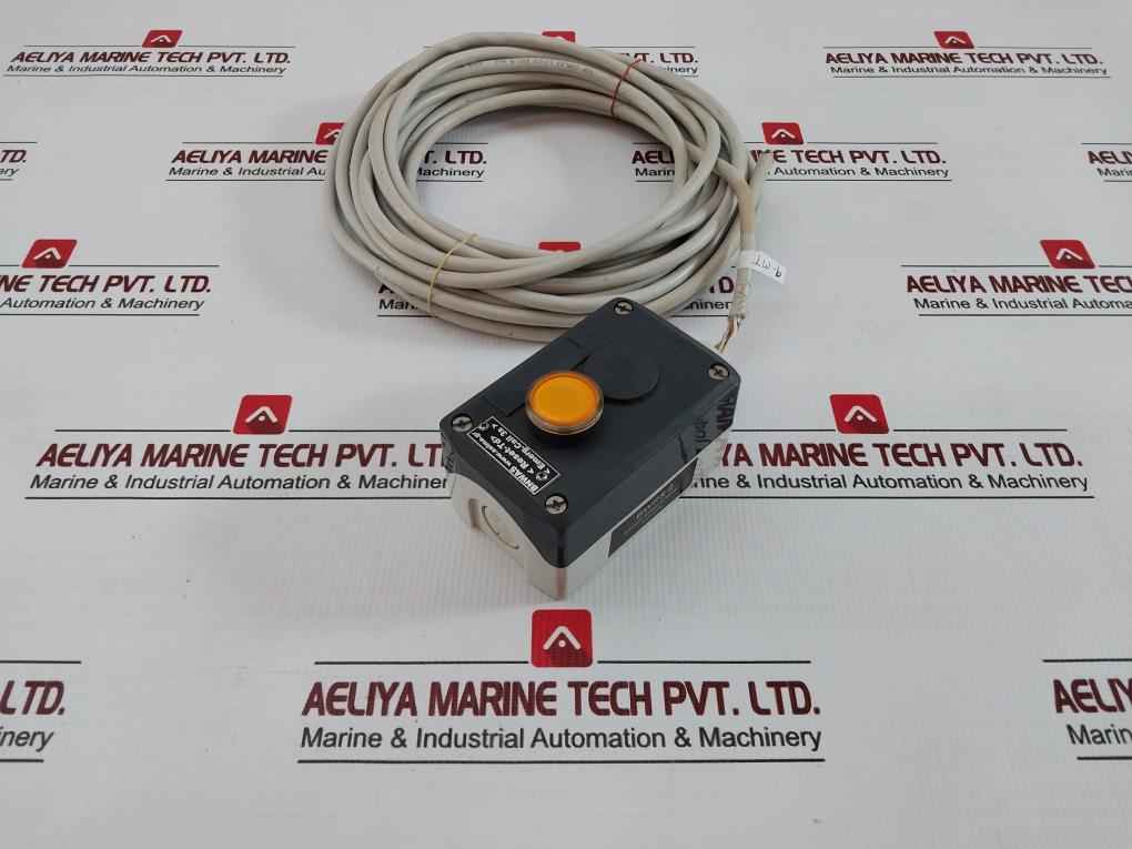 Bridge Remote Reset Station 9-meter Schneider Electric Selma Bnwas