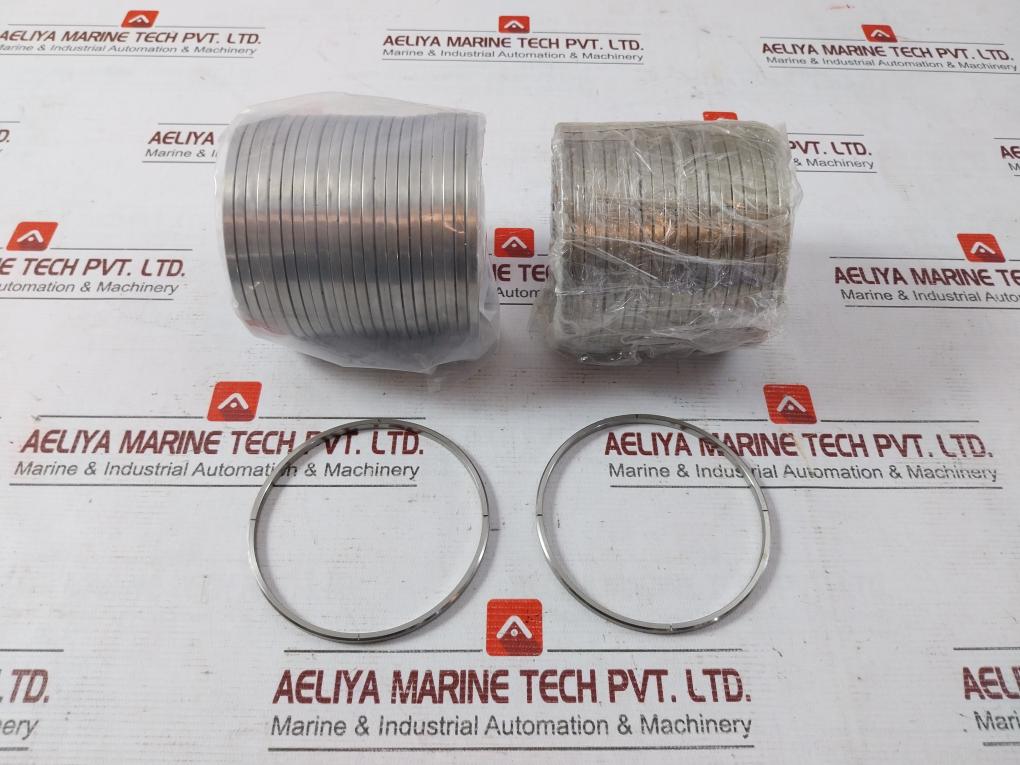 Bs-3010V Backup Ring - Wom Choke Manifold Seal 30178344