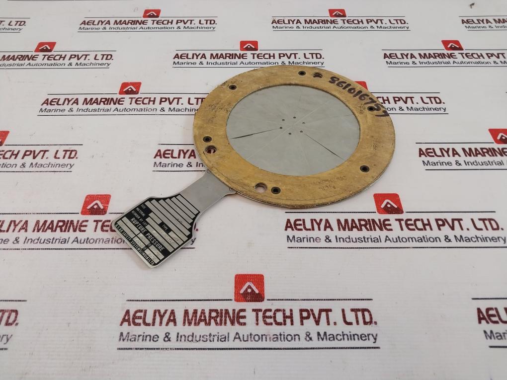 BS&B AVV 4" Rupture Disk TEF/NI/TEF/HAST-C