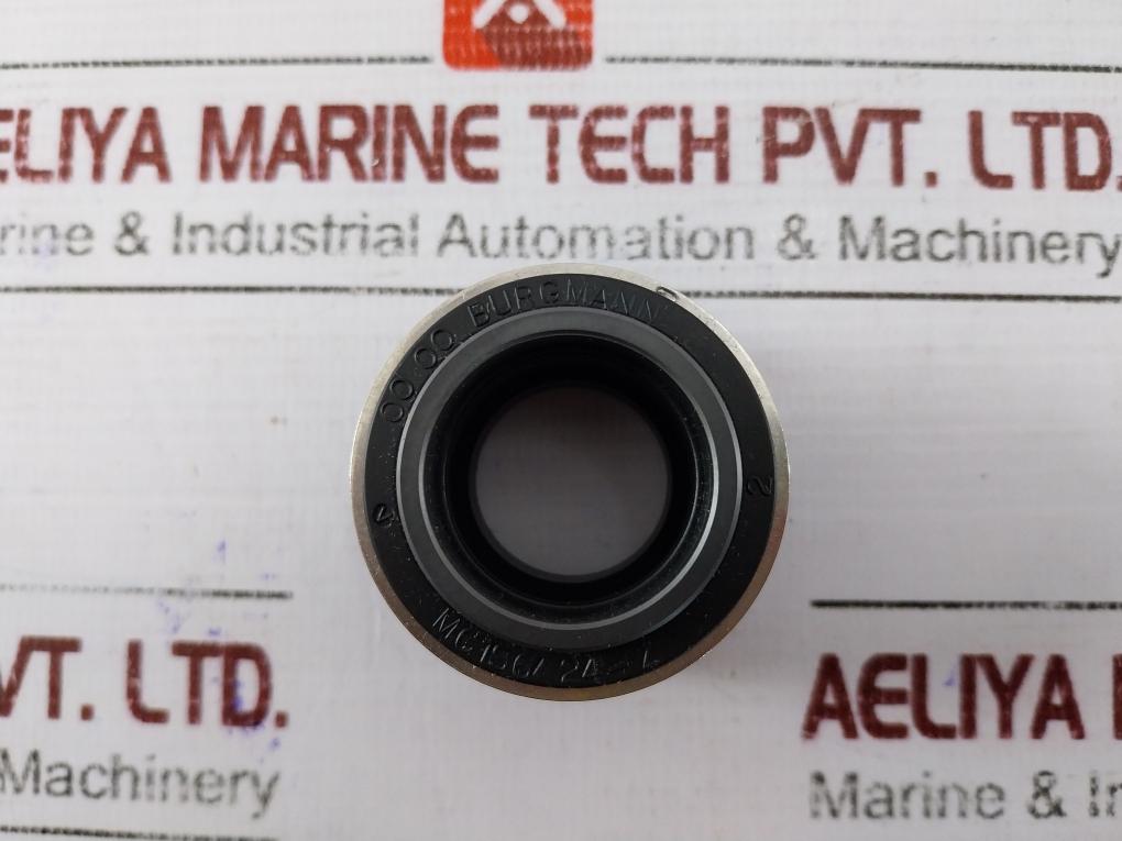 Burgmann MG1S6/24-Z Mechanical Seal Grey Water Pump