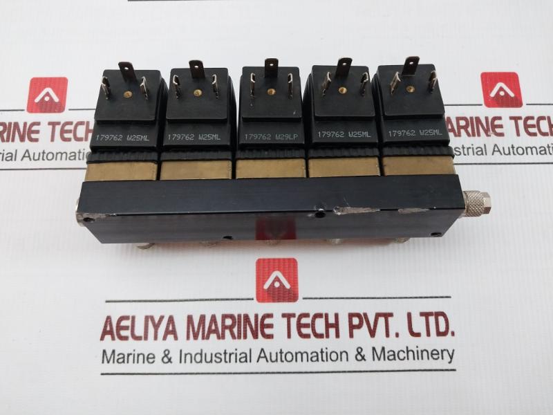 Plunger Valve Assy 24Vdc 8W Burkert 6013 A 2,0 Fkm Ms