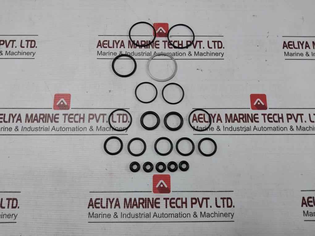 Buxton R10701-2 Air Drive Cycling Valve Repair Kit Ss033D