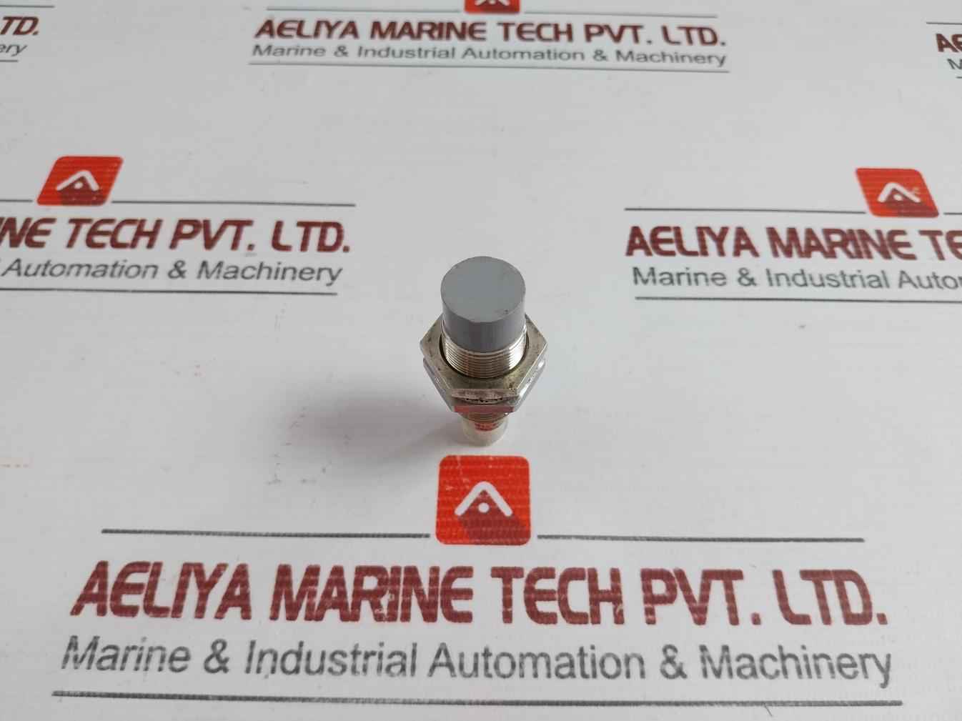 C29-213L Inductive Proximity Sensor Mikrosen