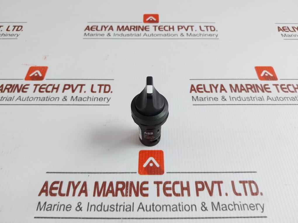 C2Ss2-10B-11 Selector Switch Abb