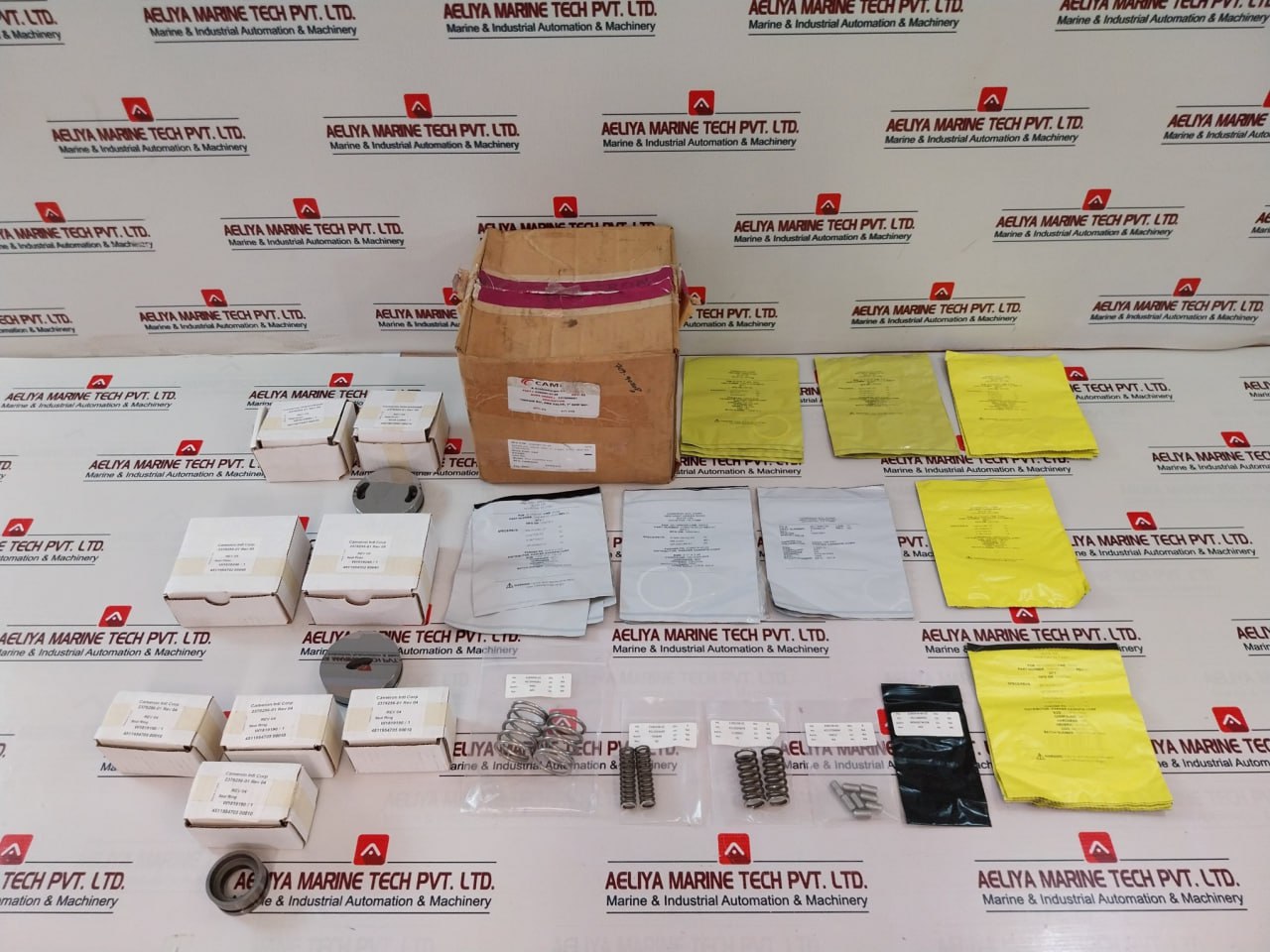 Cameron 2390581-01-99 Seal Ring Repair Kit 2185238-02 Rev 02