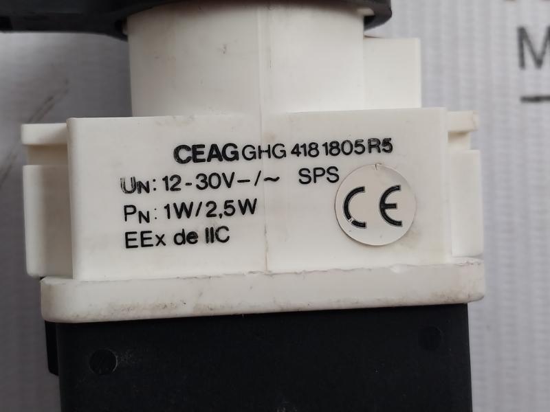 Ceag Digital Panel Mount Indicator Ghg 418 1805 R5