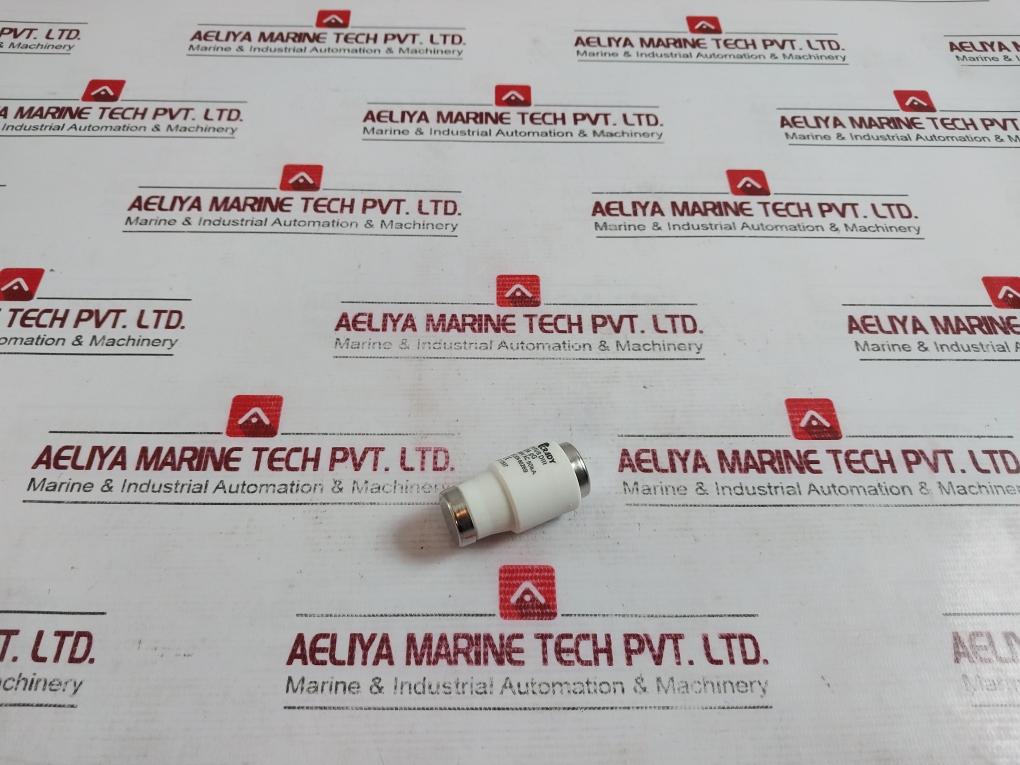 Lot of 10X CRADY DYFUS DIII Bottle Fuse 63A gG 500VAC 50KA IEC/EN 60269