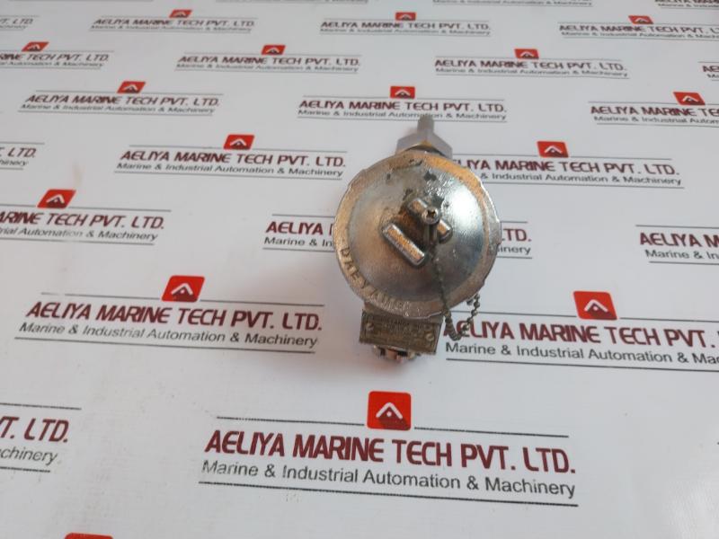 Dae Yang Ttr-ln Resistance Bulb Class B Pt 100?