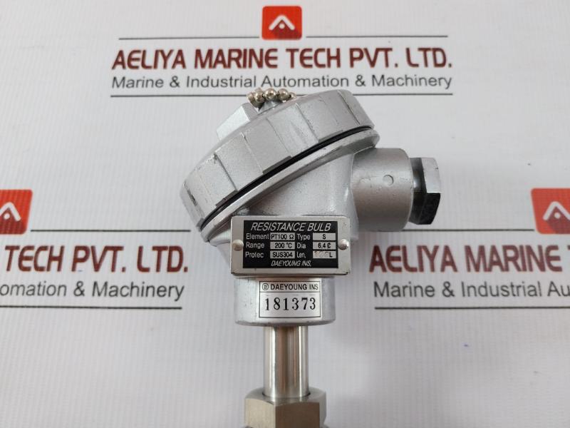 Daeyoung Resistance Temperature Detector Pt 100Ω Type S