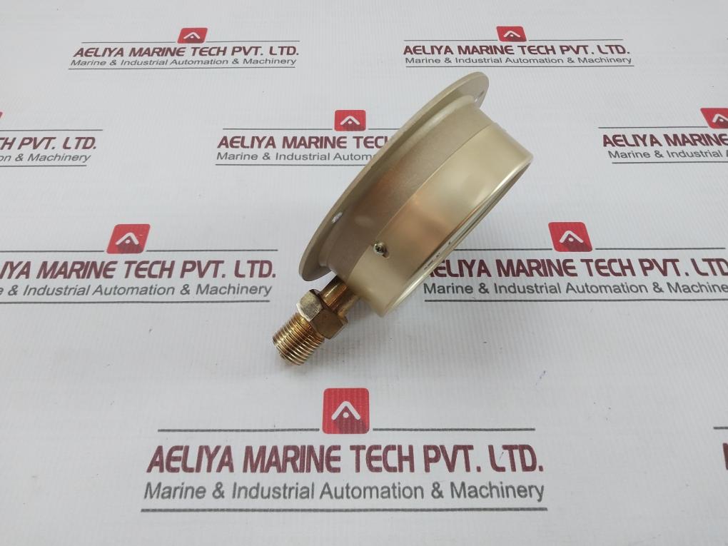 Daito Keiki Bs Pressure Gauge 0-0.6 Mpa 100Mm